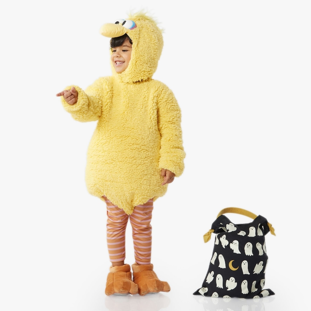 Pottery Barn Kids Sesame Street Big Bird Costume. Size 2-3T